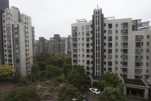 大華錦繡華城十一街區優點 不足,大華錦繡華城十一街區怎么樣,大華錦繡華城十一街區周邊房產中介經紀人評價
