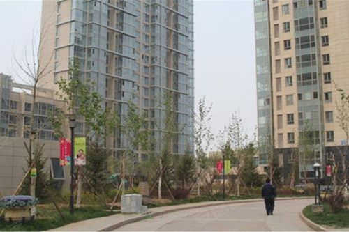 梧桐大道優點 不足,梧桐大道怎么樣,梧桐大道周邊房產中介經紀人評價