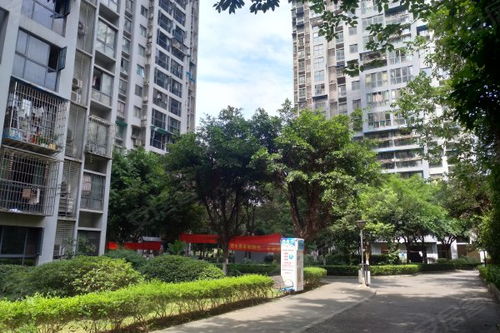 城市經典優點 不足,城市經典怎么樣,城市經典周邊房產中介經紀人評價