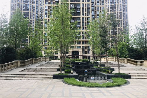 綠地新都會優點 不足,綠地新都會怎么樣,綠地新都會周邊房產中介經紀人評價
