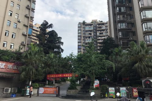 廣廈城巢上 二期 優(yōu)點 不足,廣廈城巢上 二期 怎么樣,廣廈城巢上 二期 周邊房產(chǎn)中介經(jīng)紀人評價