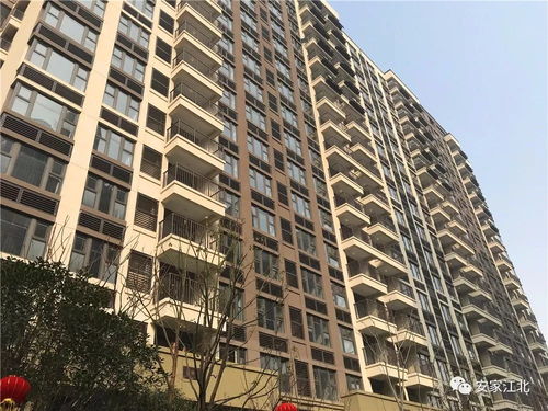 二手房報(bào)價(jià)破26000元 ㎡ 江北新區(qū)大盤交付,房價(jià)兩年漲10000元 ㎡