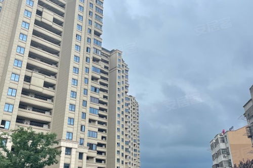 麗豐鉑羽公館優(yōu)點(diǎn) 不足,麗豐鉑羽公館怎么樣,麗豐鉑羽公館周邊房產(chǎn)中介經(jīng)紀(jì)人評價(jià) 合肥安居客