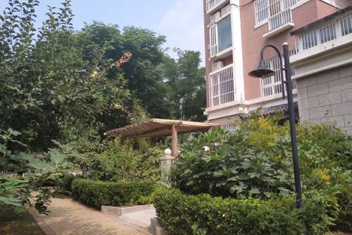 海信盈城優點 不足,海信盈城怎么樣,海信盈城周邊房產中介經紀人評價