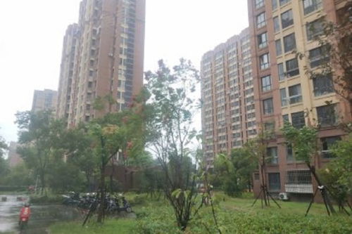 塘和家園德寧苑優(yōu)點(diǎn) 不足,塘和家園德寧苑怎么樣,塘和家園德寧苑周邊房產(chǎn)中介經(jīng)紀(jì)人評價