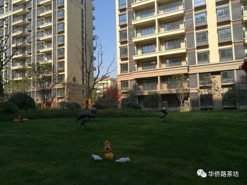 二手房價突破20000元 ㎡,江北新區(qū)大盤首批交付,實景圖曝光