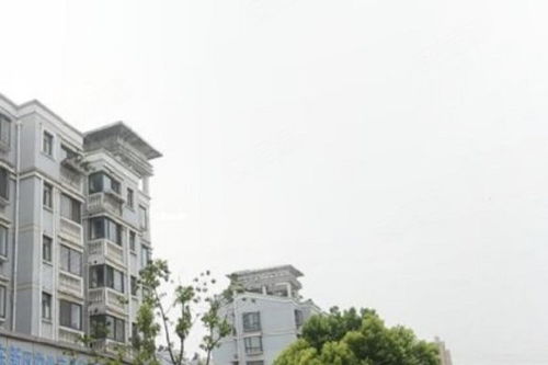 芳華路713弄小區綜合評價 優點、不足與周邊中介服務