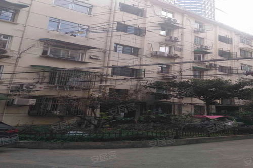 黃浦大同小區綜合評測 優缺點、居住體驗與周邊中介服務分析